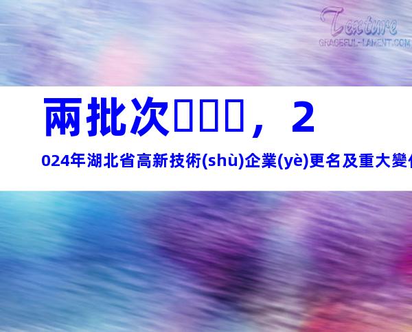 兩批次，2024年湖北省高新技術(shù)企業(yè)更名及重大變化申報(bào)時(shí)間、材料合集
